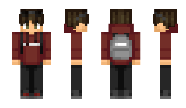Minecraft skin Bewer
