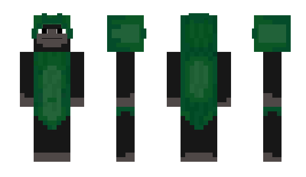 Minecraft skin DSGang86