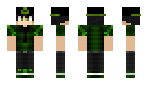 Minecraft skin Ginjas