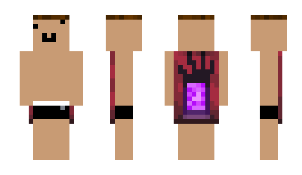 Minecraft skin Vex1de