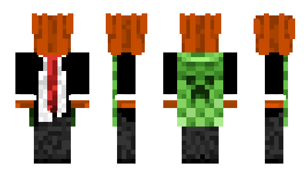 Minecraft skin robkin