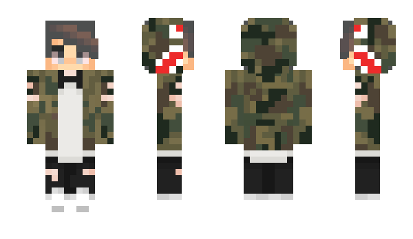 Minecraft skin Discounted