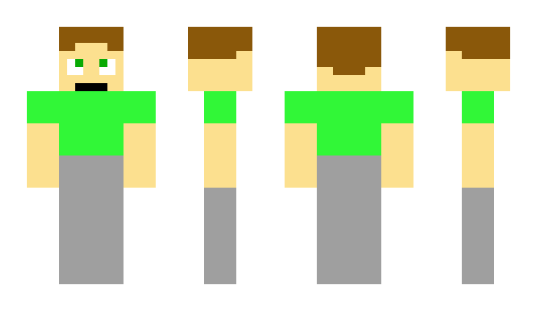 Minecraft skin NSSGreenHat