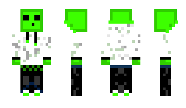 Minecraft skin Koopa2