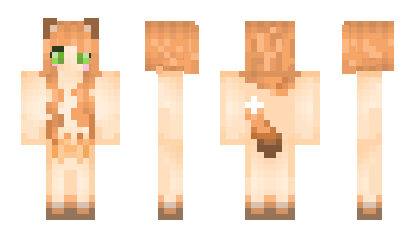 Minecraft skin LeBigCat