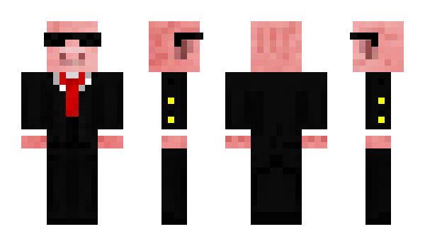 Minecraft skin KingSN