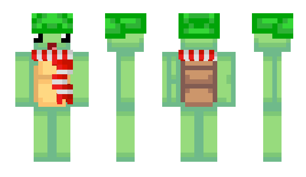 Minecraft skin Cinaregee