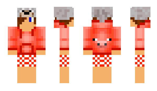 Minecraft skin NC007