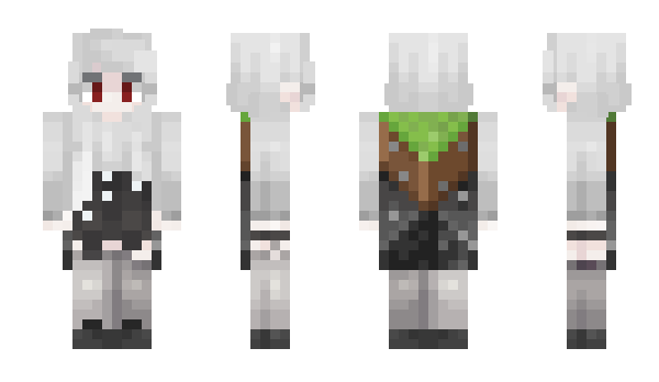 Minecraft skin Escena