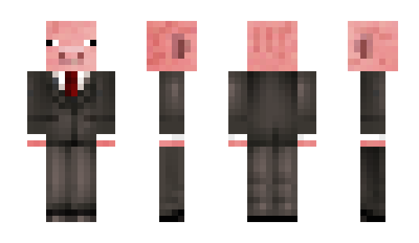 Minecraft skin Passel