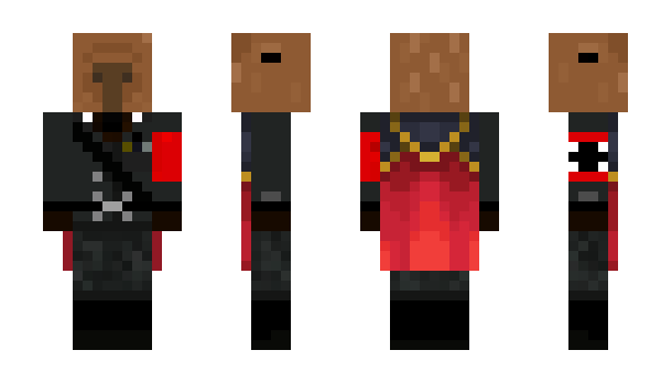 Minecraft skin bri24cm