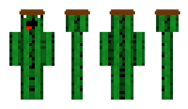 Minecraft skin cactusjones