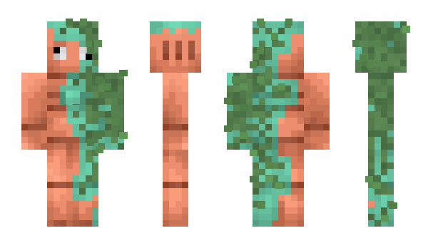 Minecraft skin STR4KE