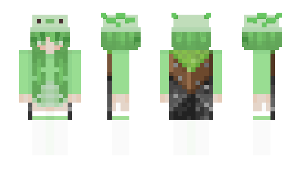 Minecraft skin chirpe