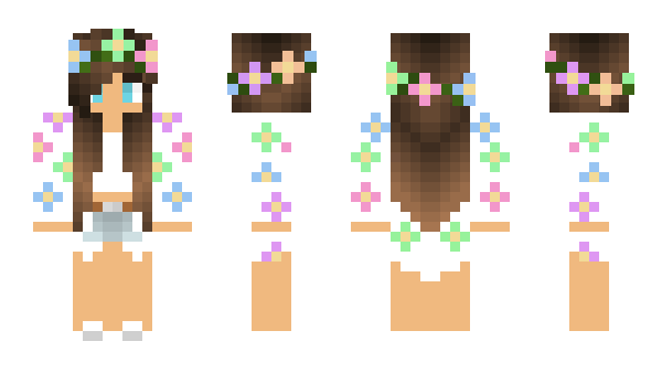 Minecraft skin brunapi