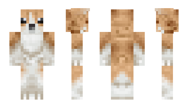 Minecraft skin wowseriously