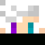 Minecraft skin RDjavi