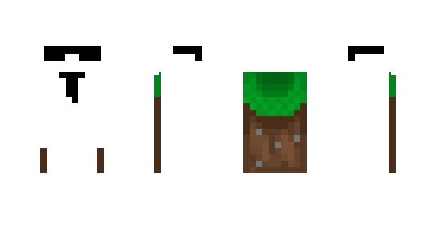 Minecraft skin yvmq