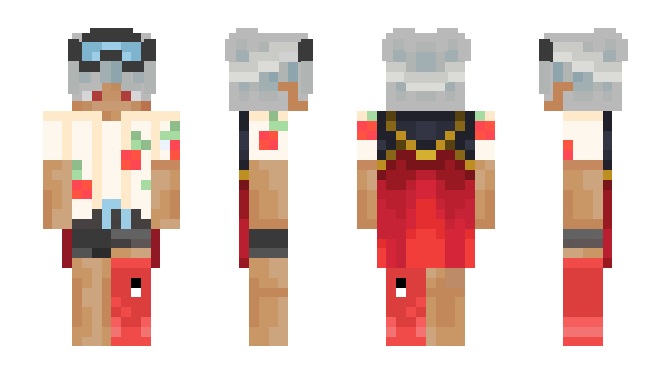 Minecraft skin ErlanL