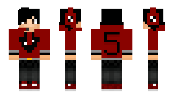 Minecraft skin TIS_TOOP_