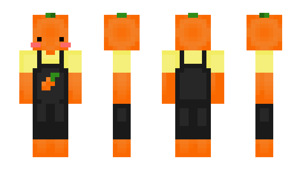 Minecraft skin Carrct