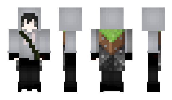 Minecraft skin Cartiers