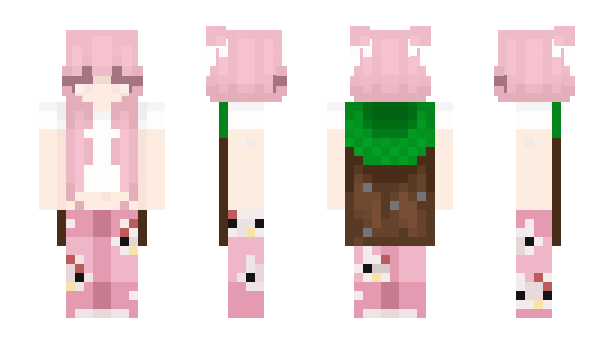Minecraft skin rnwp
