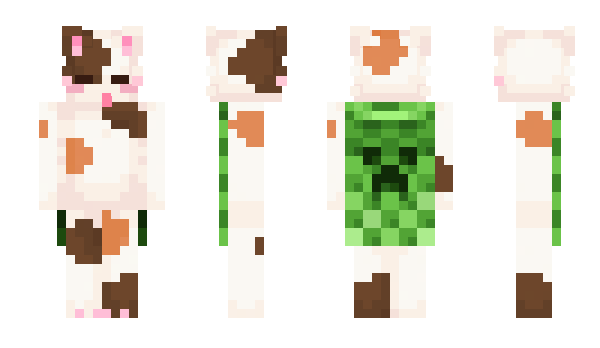 Minecraft skin okCat