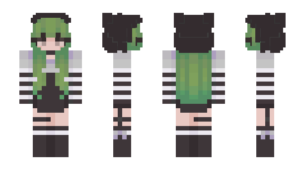 Minecraft skin 1719
