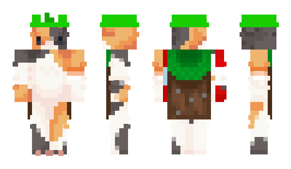 Minecraft skin SugonSS