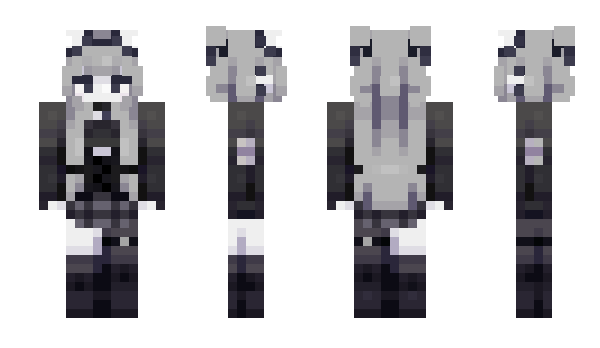 Minecraft skin 29vz