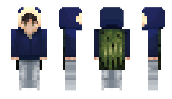 Minecraft скин по нику DucToan