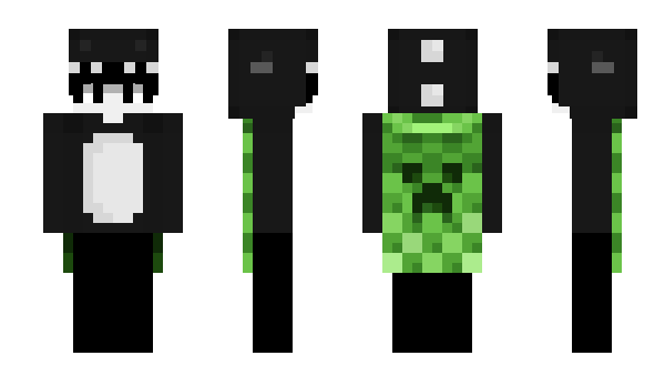 Minecraft skin 1X2O