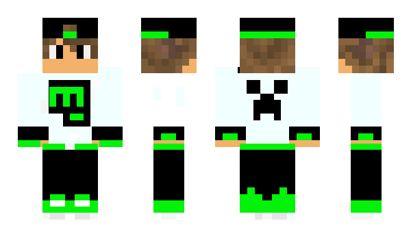 Minecraft skin P3t3R