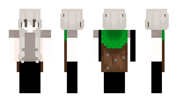 Minecraft skin heenonn