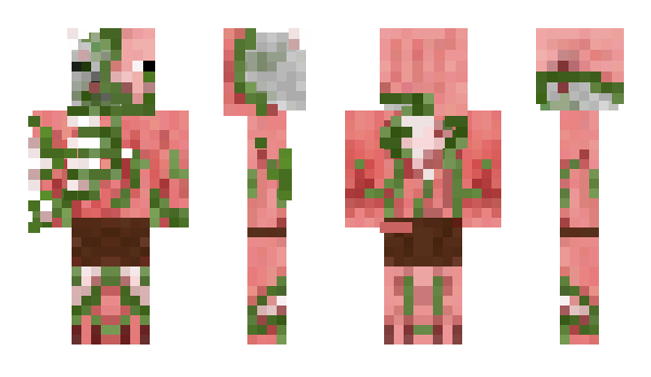 Minecraft skin Tiger01277