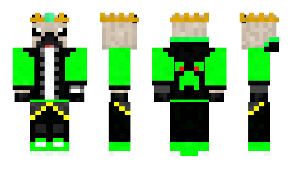 Minecraft skin Top_Pug_Top