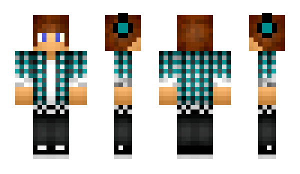 Minecraft skin heho123