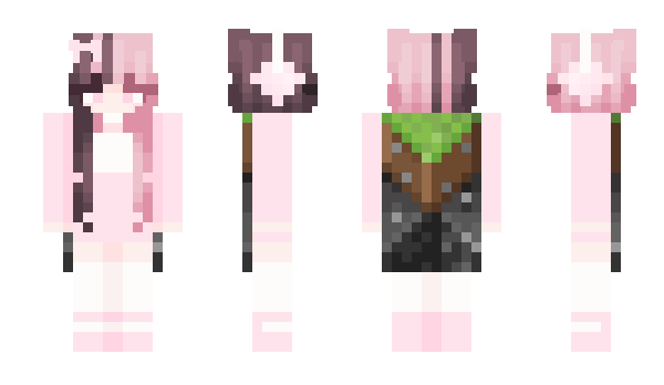 Minecraft skin skamer_top