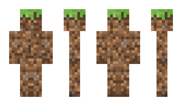 Minecraft skin BlockLog