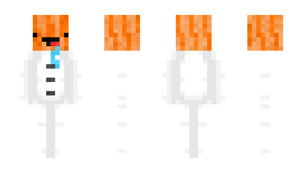 Minecraft skin riples