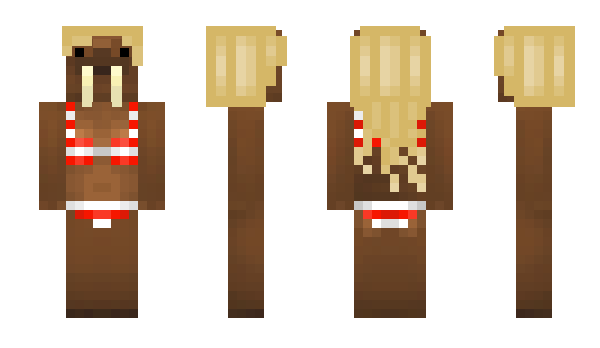 Minecraft skin Walrous