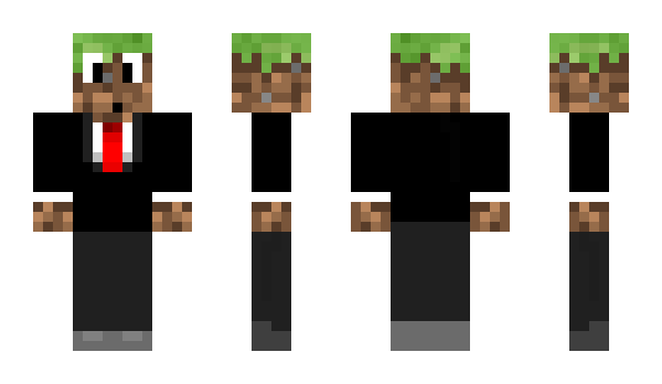 Minecraft skin erdblock98