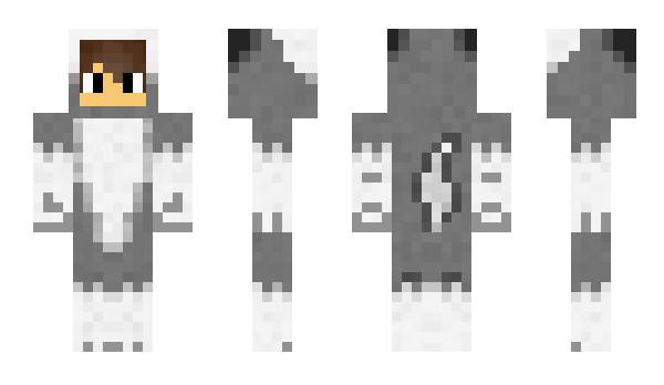 Minecraft skin Ready2Win