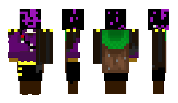 Minecraft skin AlsoNotFms