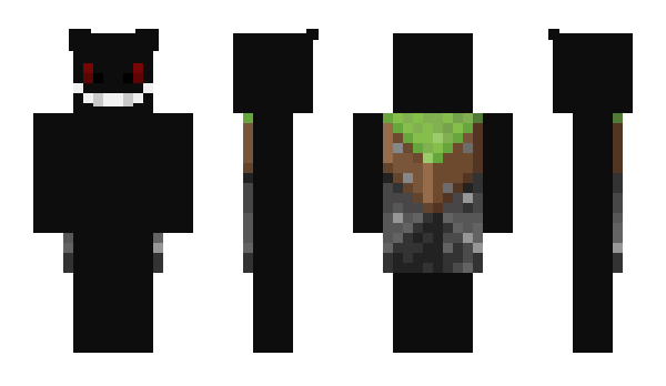 Minecraft skin MishaPlayz