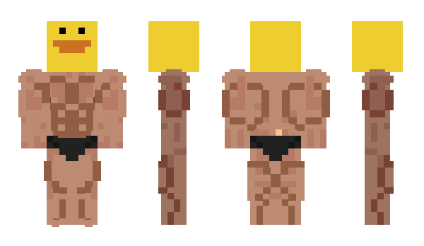 Minecraft skin wxw55123