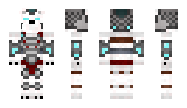 Minecraft skin Bicolor