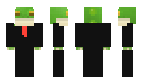 Minecraft skin NIXQACK