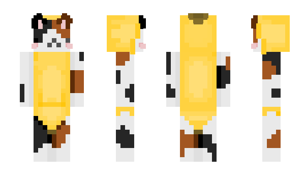 Minecraft skin calish